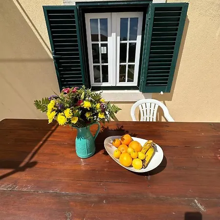 Exquisite One Bedroom Azeitão